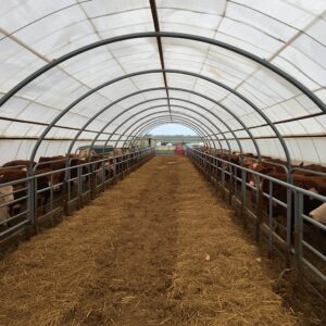 How Freedom Buildings Sets Up Flexible Calving Shelters